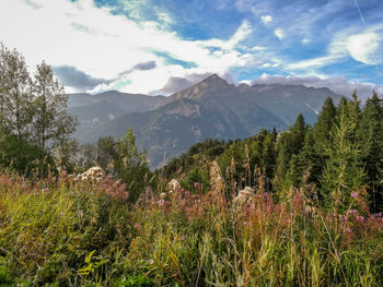 Scenic view of landscape and mountains against sky