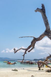 People on beach against sky