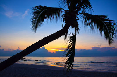Silhouette palm tree by sea against sky during sunset