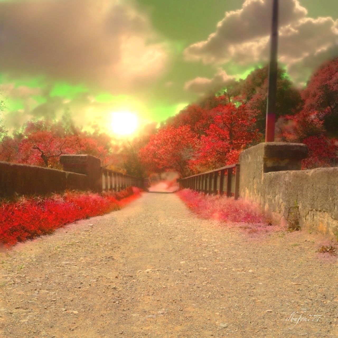 the way forward, tree, diminishing perspective, sky, sunset, autumn, red, transportation, vanishing point, orange color, built structure, season, road, nature, street, change, cloud - sky, surface level, footpath, architecture