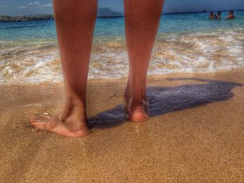Scenic view of beach