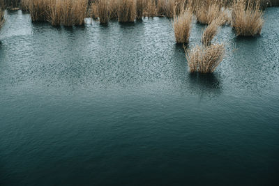 High angle view of rippled lake