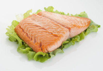 High angle view of fish on plate against white background