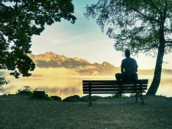 Rear view of man sitting on bench at park