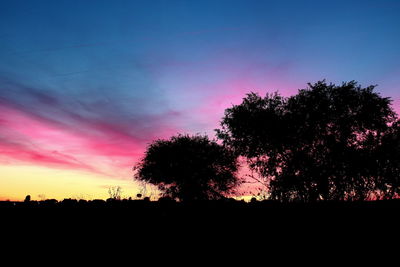 Silhouette trees against sky at sunset