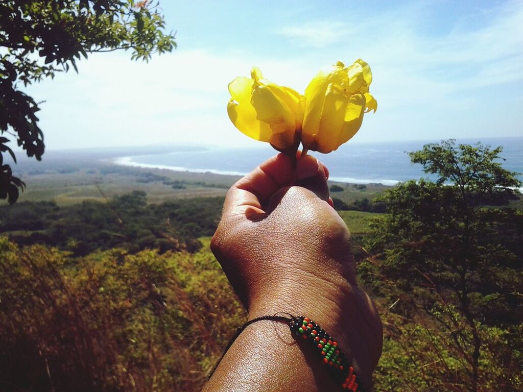 flower, person, sky, holding, beauty in nature, fragility, freshness, growth, field, yellow, nature, petal, plant, part of, leisure activity, human finger, lifestyles