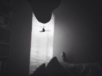 View of people in the dark