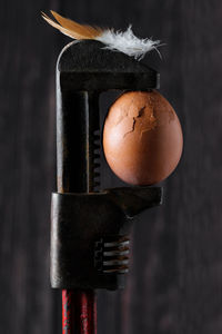 Close-up of cocktail against black background