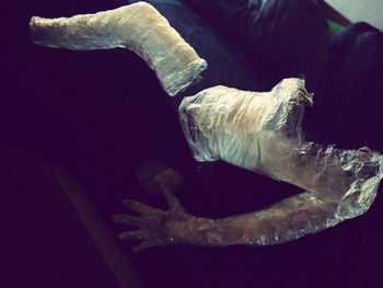 High angle view of shell over sea