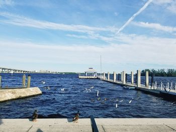 Scenic view of sea against blue sky