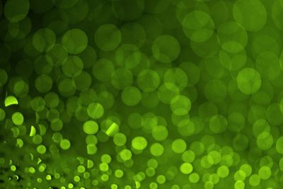 Defocused image of illuminated lights