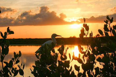 Silhouette people on lake against sky during sunset