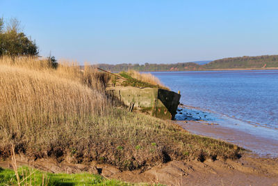 Scenic view of beach against clear sky