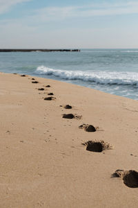 Scenic view of beach against sky