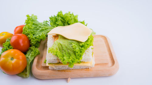 Close-up of vegetables served on plate against white background