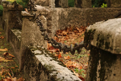 Close-up of weathered wall