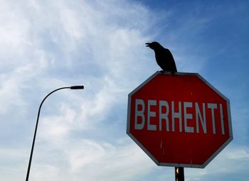 Low angle view of bird perching on road sign against sky