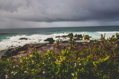 Scenic view of sea against sky