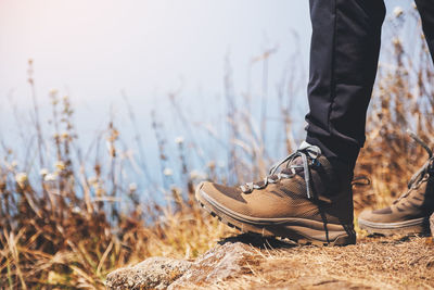 Low section of person standing on land by lake