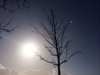 Low angle view of bare trees against sky