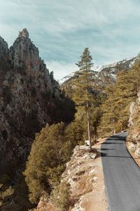 Road amidst trees against sky