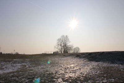 Scenic view of trees against sky