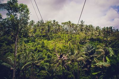 Plants and trees in forest against sky