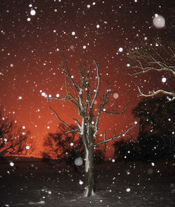 Bare tree against sky during winter
