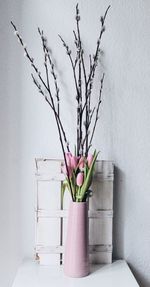 Close-up of flowers against wall