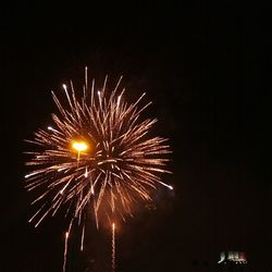 Low angle view of firework display