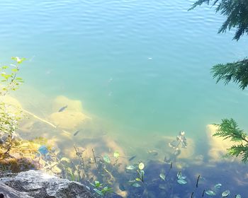 High angle view of reflection in lake