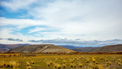 Scenic view of agricultural field against sky