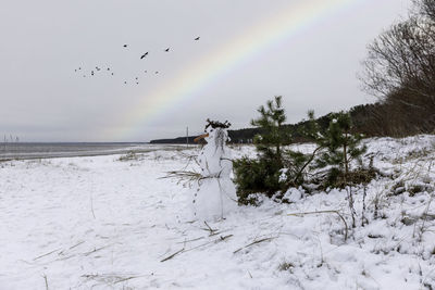 Birds flying over snow covered land and snowman figure