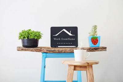 Close-up of potted plant on table against wall