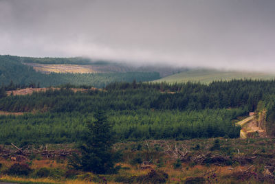 Scenic view of landscape against sky