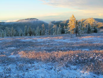 Scenic view of snow covered land against sky during sunset