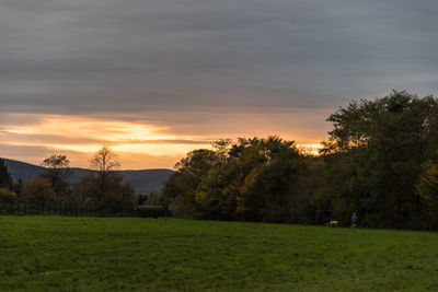 Scenic view of field against sky during sunset