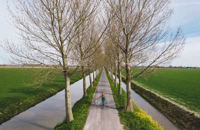 Rear view of person walking on road surrounded by threes