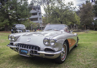 Vintage car on road