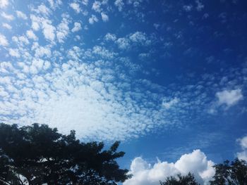Low angle view of tree against sky