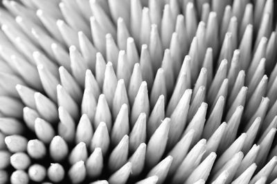 Full frame shot of toothpicks