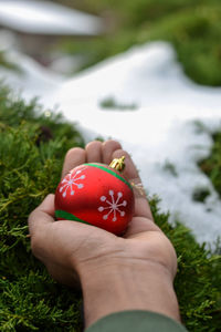 Close-up of hand holding red berries