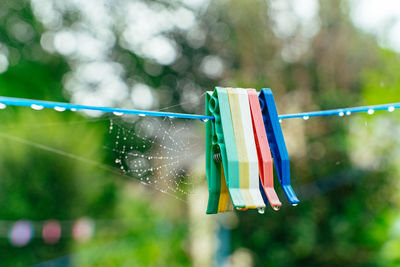 Colorful rainbow of clothes pins on a laundry line with spider web and rain drops