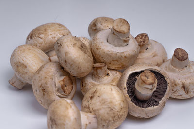 Close-up of mushrooms against white background