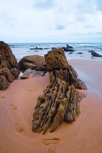 Driftwood on beach