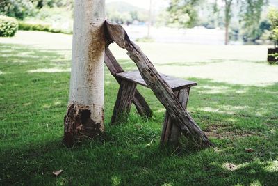 Close-up of wooden log on field