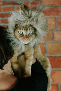 Woman holding cat wearing fur at home