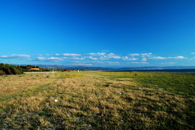 Scenic view of field against blue sky