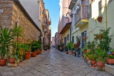 A narrow street between old houses in venosa, town in basilicata region, italy.