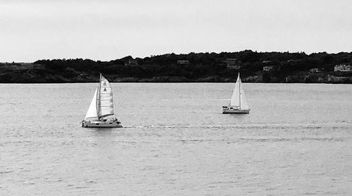Sailboat sailing on sea against clear sky